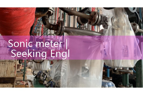 sonic meter